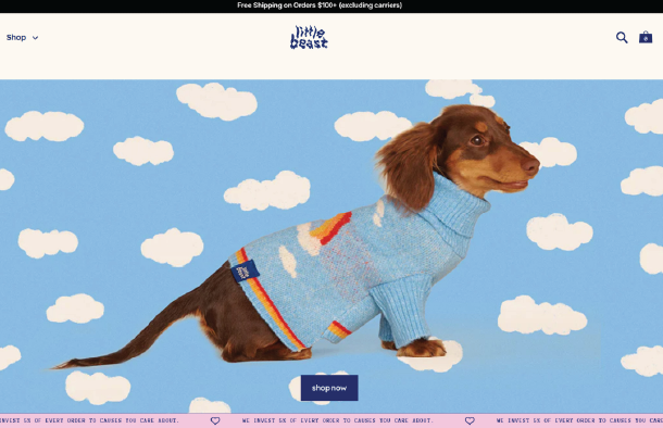 Shopify homepage hero screenshot with dog in blue sweater