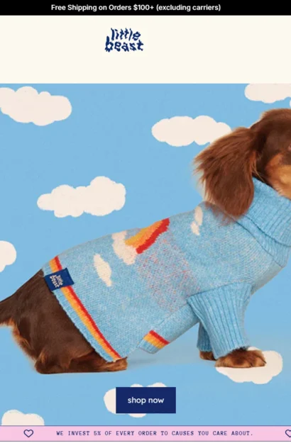 Littlebeast Home Page preview for Shopify case study