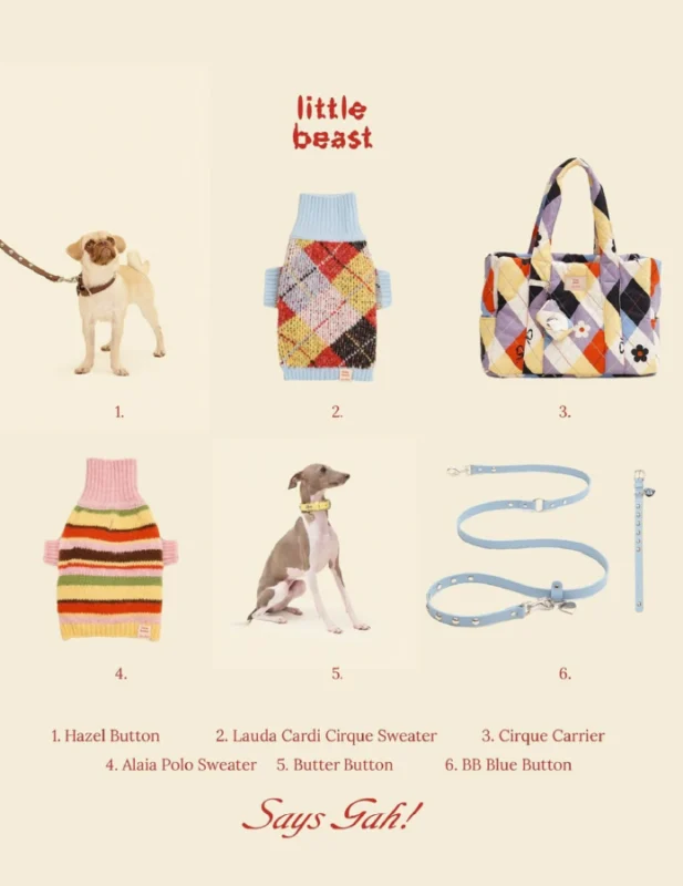 Case Study resulsts for Little Beast store